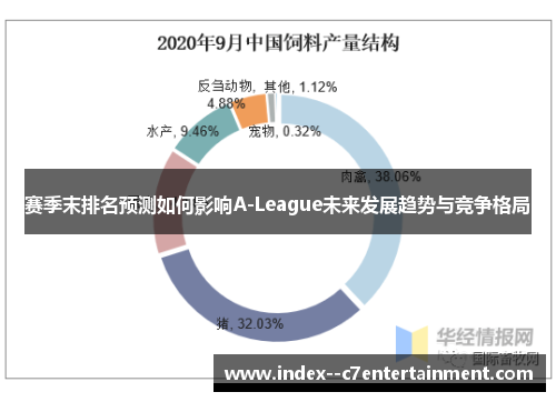 赛季末排名预测如何影响A-League未来发展趋势与竞争格局 赛季末排名预测如何影响A-League未来发展趋势与竞争格局