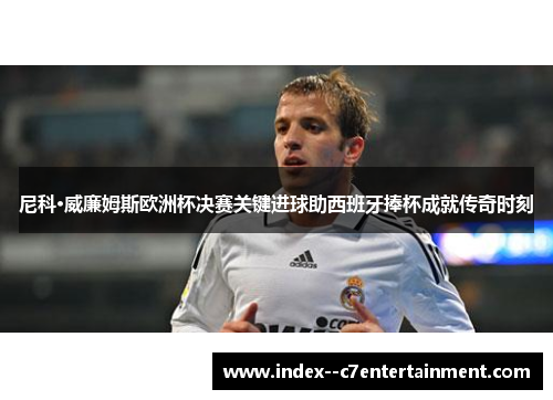 尼科·威廉姆斯欧洲杯决赛关键进球助西班牙捧杯成就传奇时刻 尼科·威廉姆斯欧洲杯决赛关键进球助西班牙捧杯成就传奇时刻
