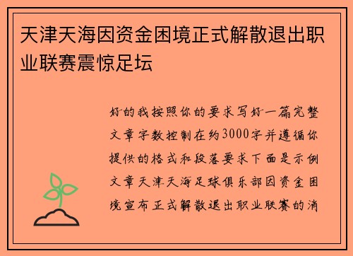 天津天海因资金困境正式解散退出职业联赛震惊足坛